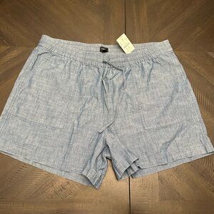 JCREW Light Blue Drawstring Shorts